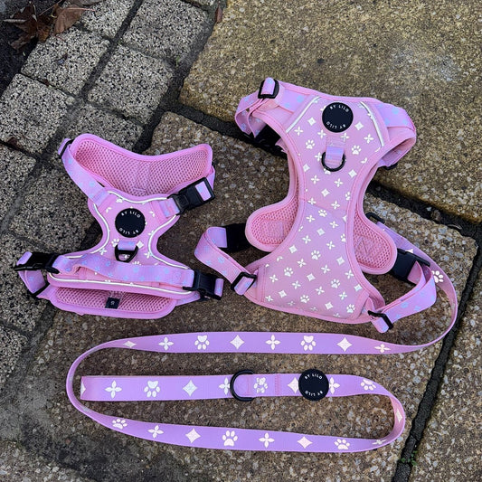 Roze Reflecterende Harnas + Riem Bundel