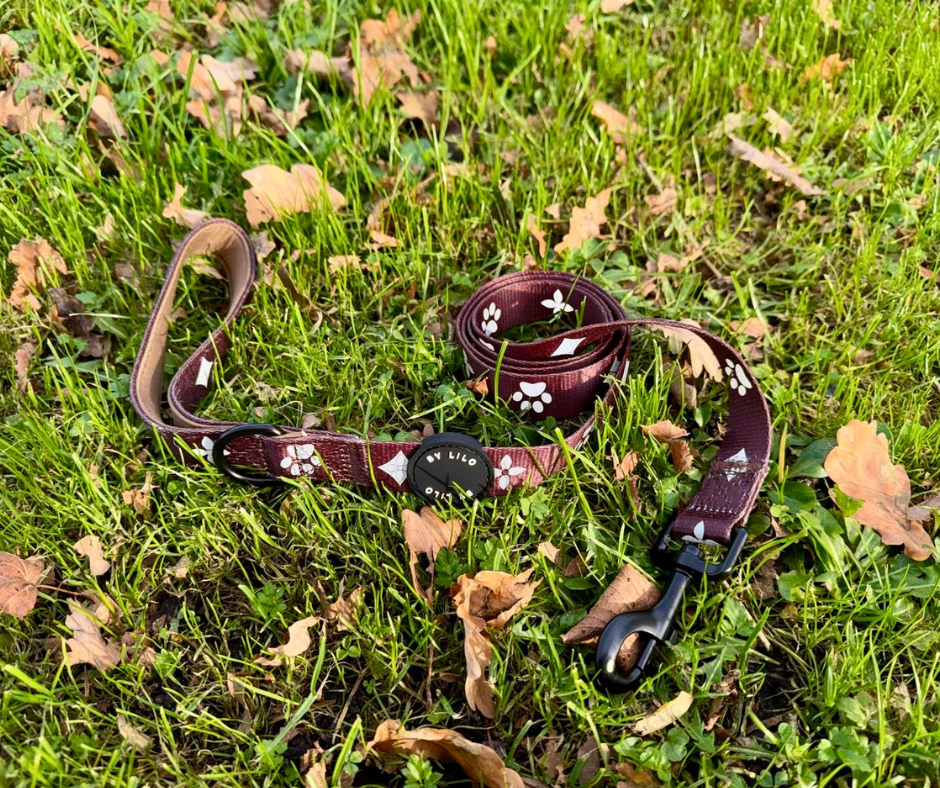 Bruin Reflecterende Harnas + Riem Bundel