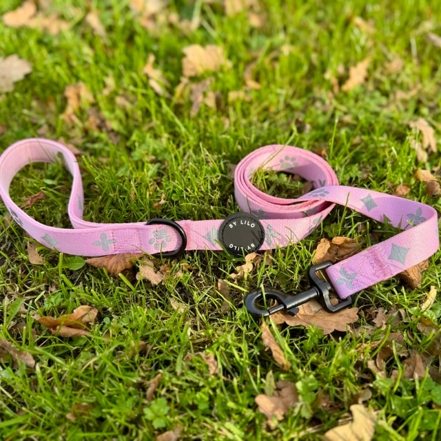 Reflecterende roze hondenriem