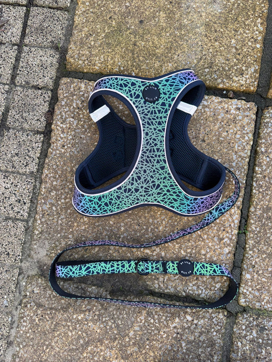 Reflecterende instapharnas + Riem Bundel